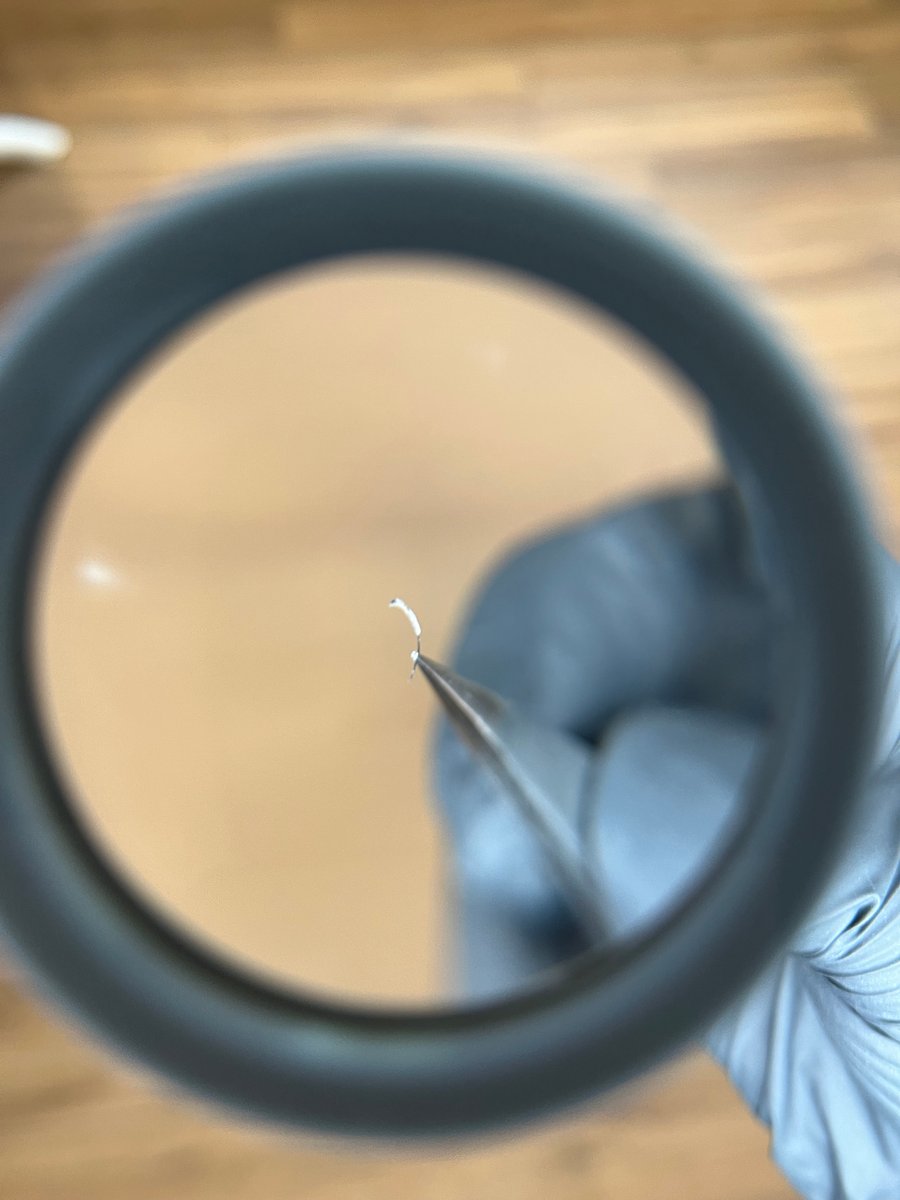 Avant / après épilation des sourcils